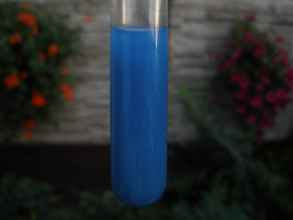 Copper (II) hydroxide suspended in a test tube. (Source: Wikimedia Commons)