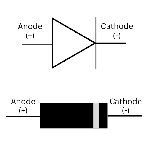 Figure 8.1 The circuit symbol for a diode (top) depicting the anode (+) and cathode (-) leads. On the bottom, the standard physical packaging with a strip designating the cathode lead.